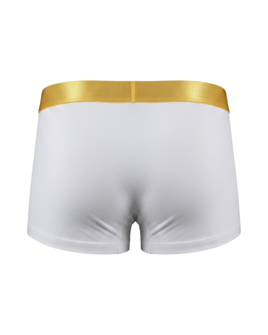 Cool Fit Boxer
